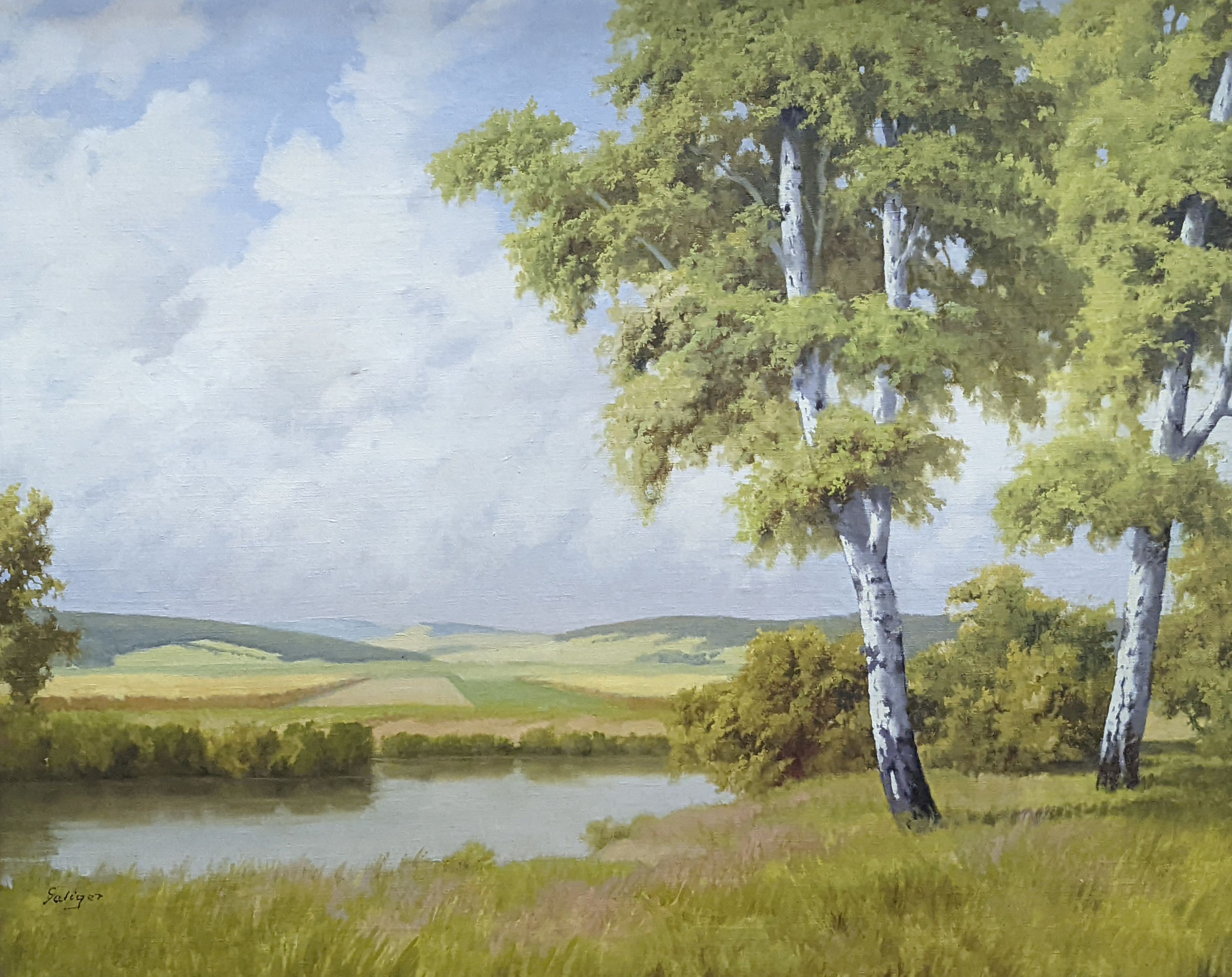 Fritz Saliger (Austrian, 1896-1975), oil on canvas, Birch trees in a summer landscape, signed, 60 x 75cm 100-200